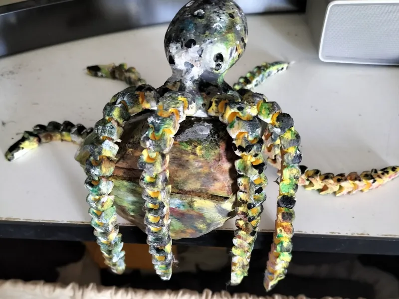pulpo piedra cofre