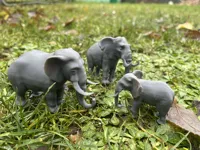 Famille d'éléphants pour le zoo — photo 2