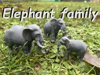 Famille d'éléphants pour le zoo — photo 1