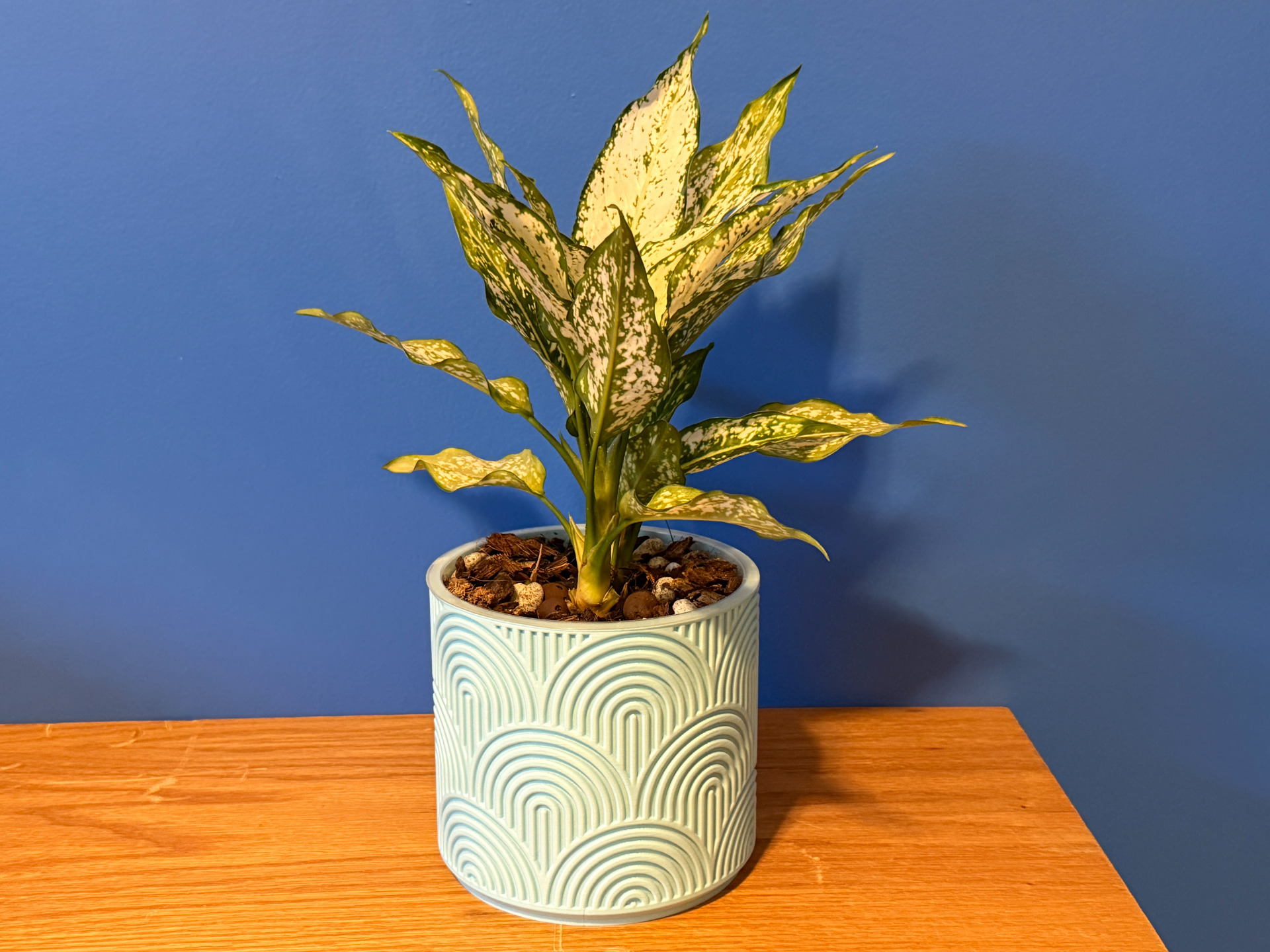 Art Deco Arch Planter