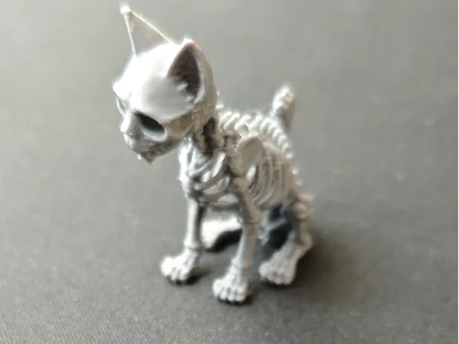 Rattle, the Skeleton Cat