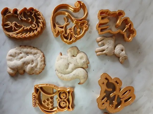https://makerworld.bblmw.com/makerworld/model/USc07194f71b870f/design/2025-12-03_82e3a1198ef87.jpg