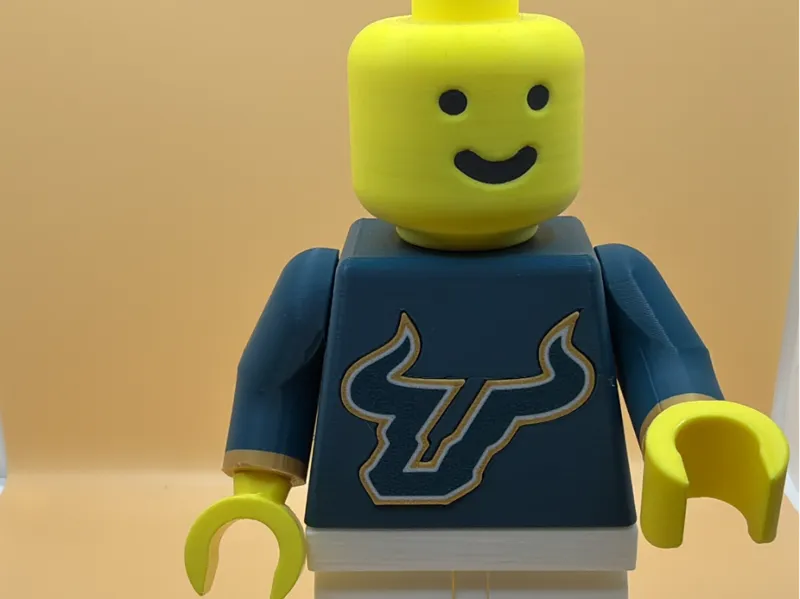 College Football Brickman - South Florida