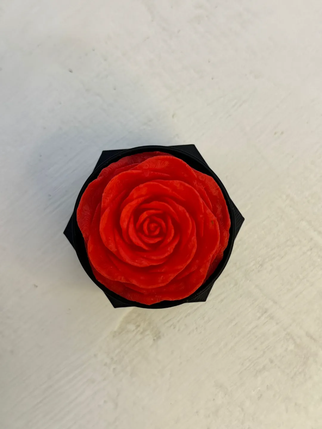 Eternal Rose view 4