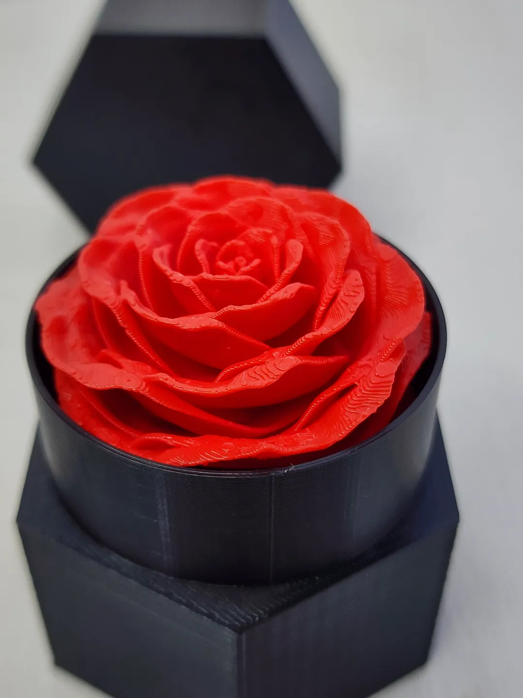 Eternal Rose view 3
