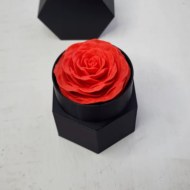 Eternal Rose