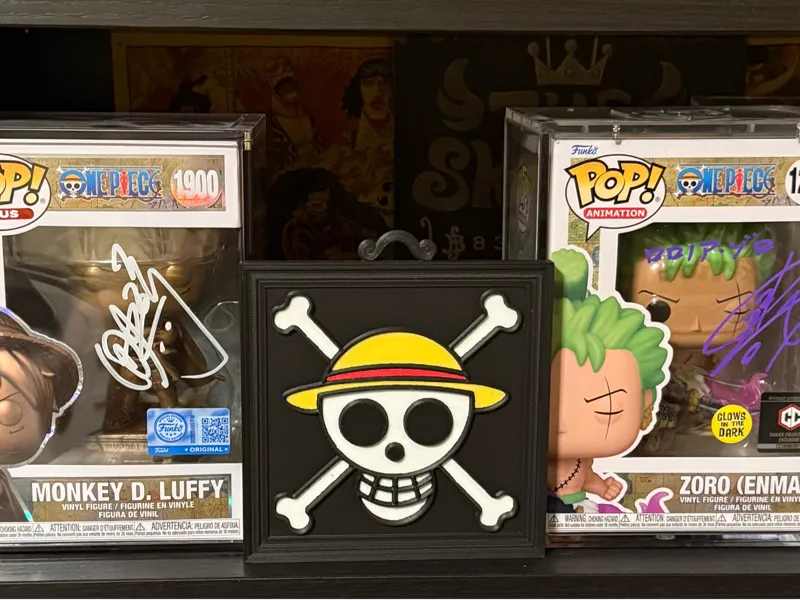 One Piece Straw Hat Pirates Jolly Roger in a Frame
