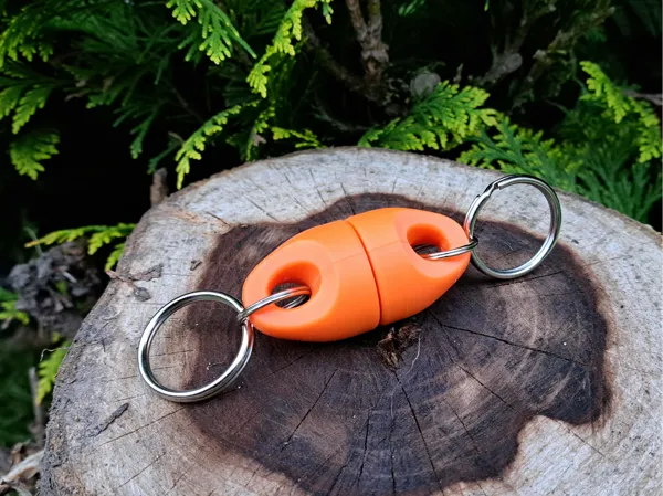 https://makerworld.bblmw.com/makerworld/model/USc080de370f837d/design/2025-04-21_677f6bc60011c.jpg