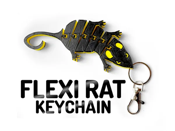 https://makerworld.bblmw.com/makerworld/model/USc086ac256e2ce4/design/2024-07-04_ecf62ef462093.jpg