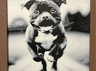 Staffie American staffordshire terrier hueforge 