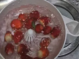 Hydro Spin Washing Bowl (Not Supports)