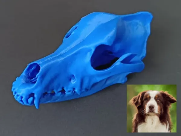 https://makerworld.bblmw.com/makerworld/model/USc09a2b9a2782ec/design/2025-03-26_1e7b1ca9e3413.png