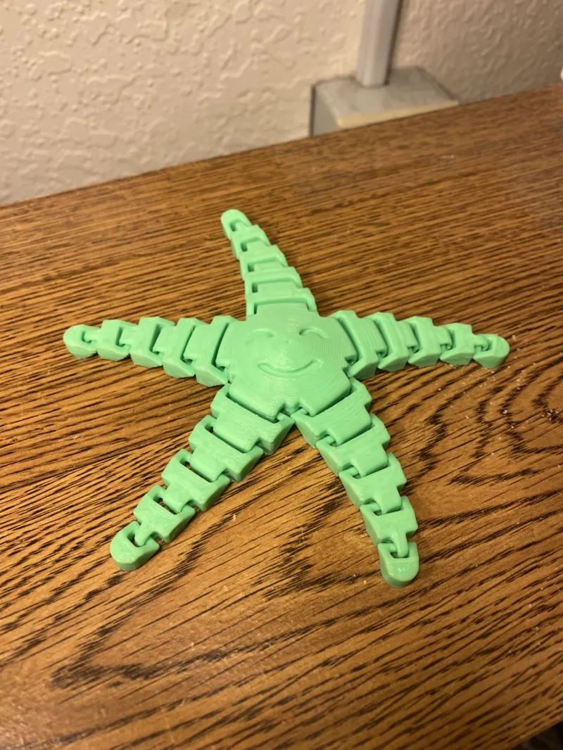 Starfish Fidget Toy