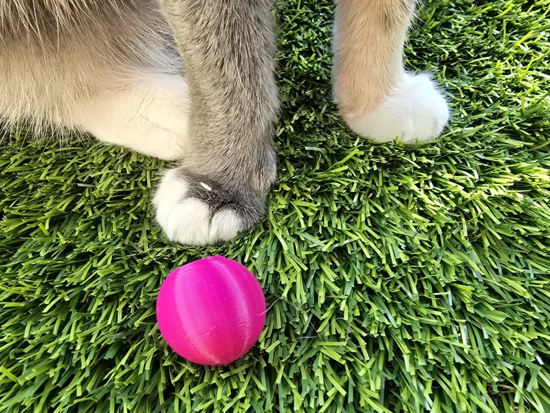 Cat Toy Ball