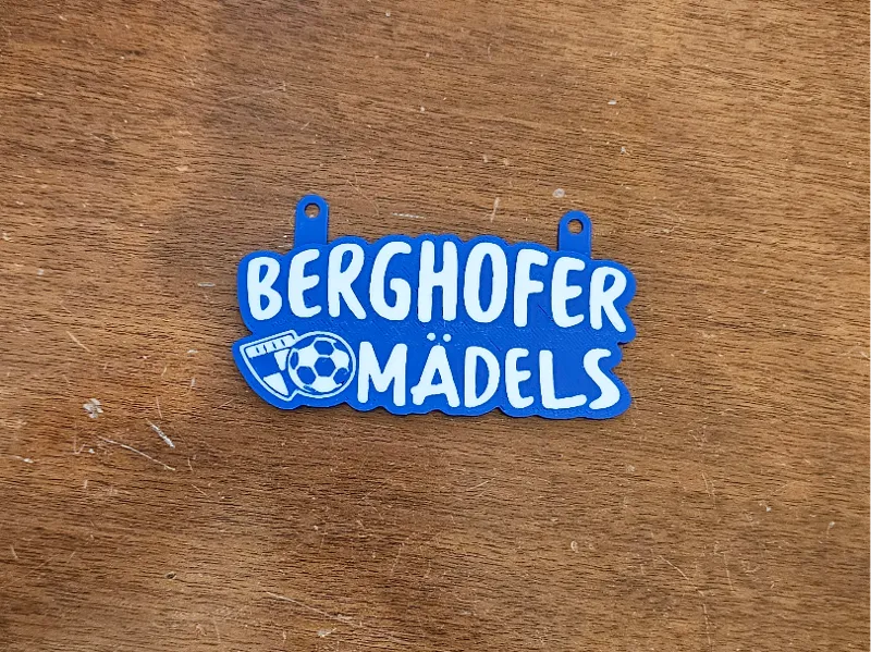 SV Berghofen Türanhänger