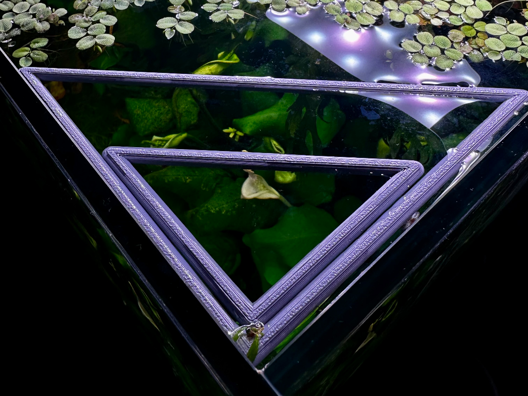 Floating Aquarium Plant & Feeding Triangle