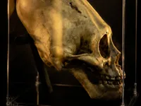 Paracas Skull – Ancient Aliens Enigma Edition