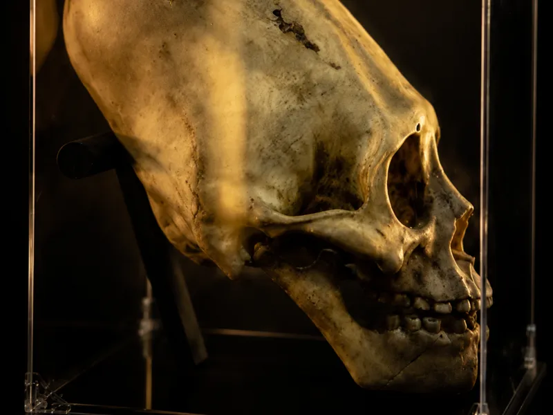 Paracas Skull – Ancient Aliens Enigma Edition