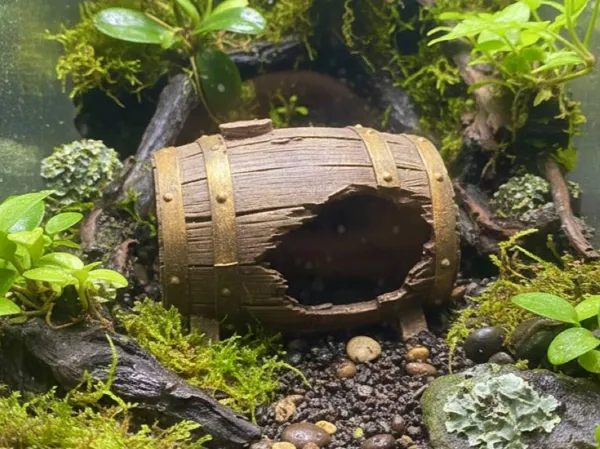 https://makerworld.bblmw.com/makerworld/model/USc0a862200685eb/design/9eef019159391bf5.jpg