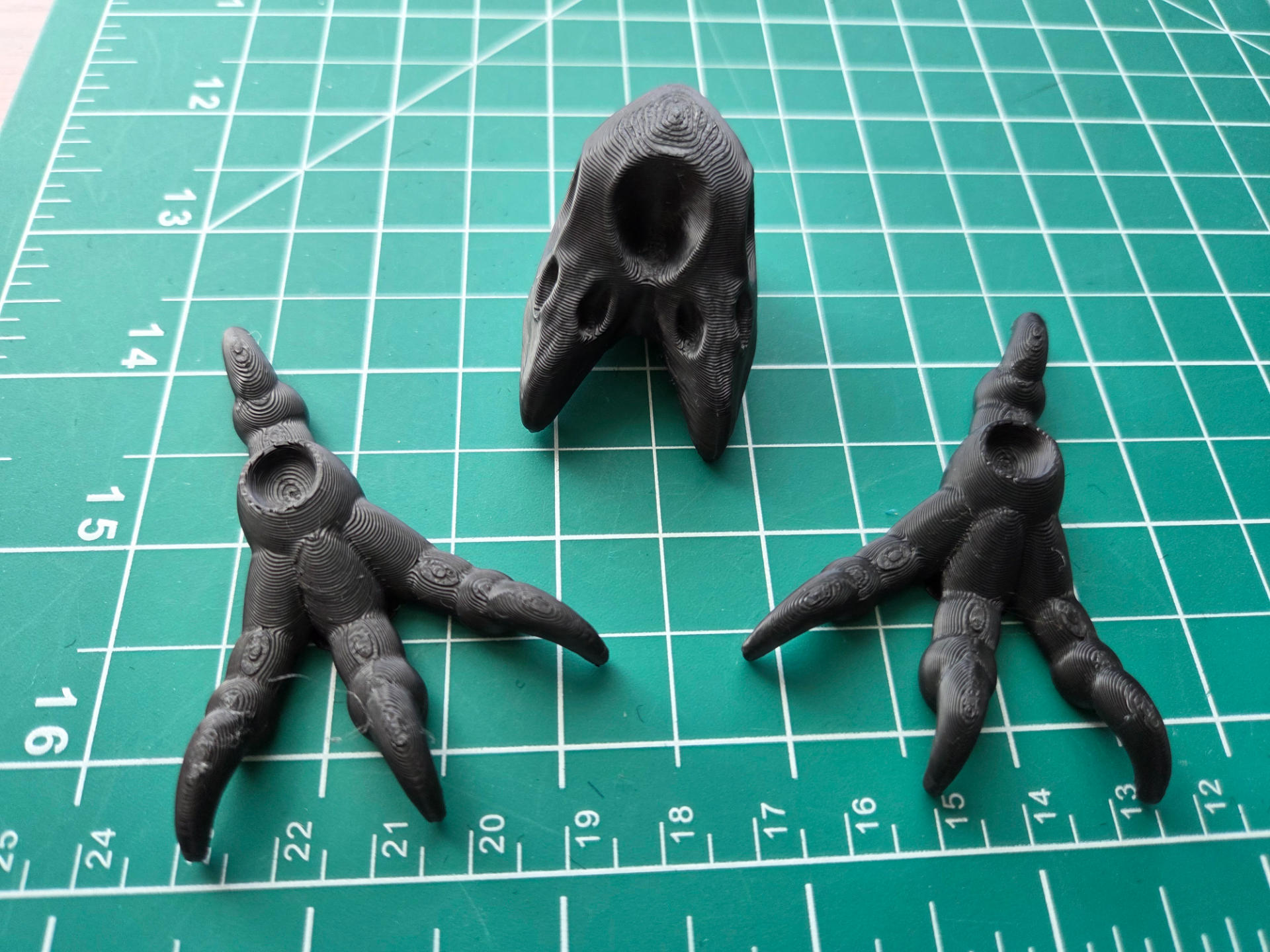 3 eyed crow skull and feet for art dolls