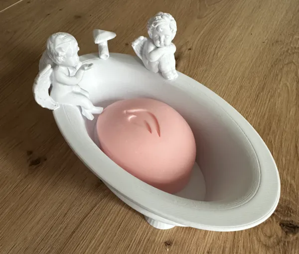 https://makerworld.bblmw.com/makerworld/model/USc0ab8a725fc98b/design/2025-01-06_08dde6208c895.jpeg
