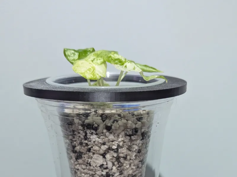9oz Cup Self-Watering/Wicking Setup Adapter