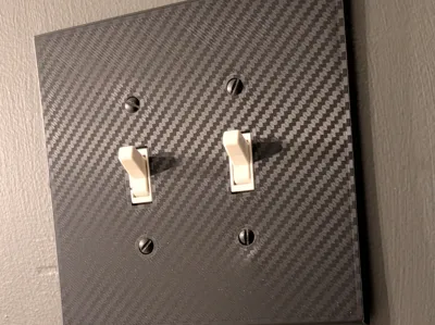 2 gang switch plate
