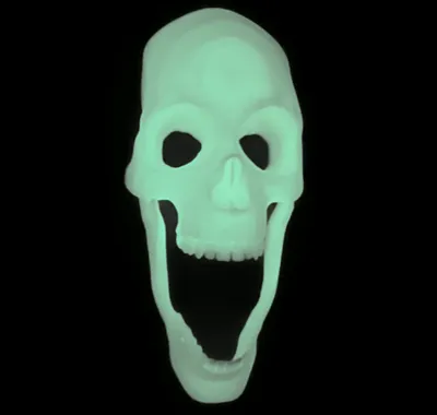 Skeleton Wall Decor