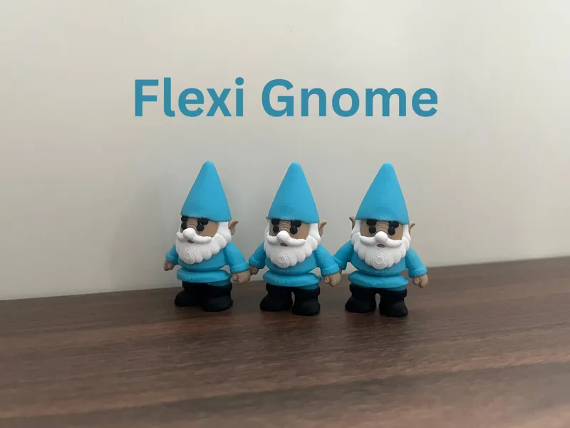Flexi Gnome
