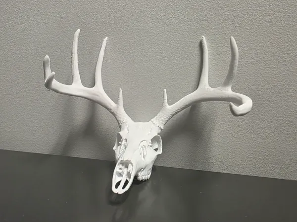 https://makerworld.bblmw.com/makerworld/model/USc0b6783a0b2684/design/2025-04-03_e7b3316ddb835.jpg