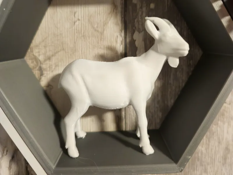 Ziege Geißbock