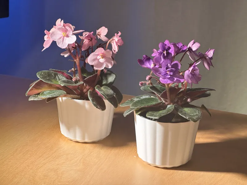 Small Planter Pot