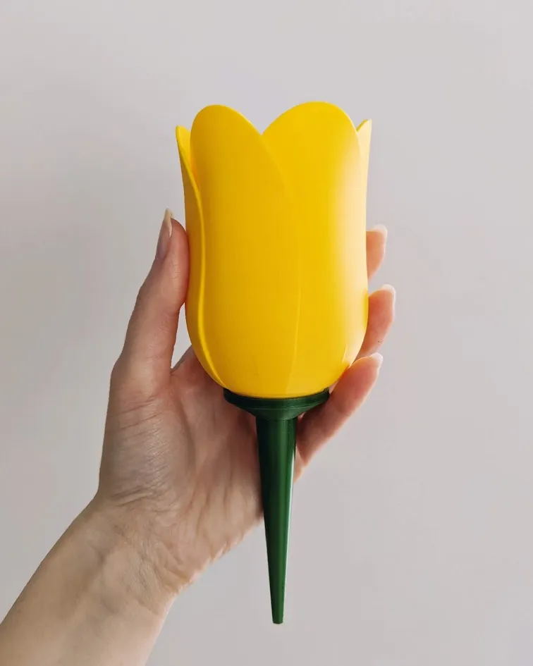Plant watering tulip view 2