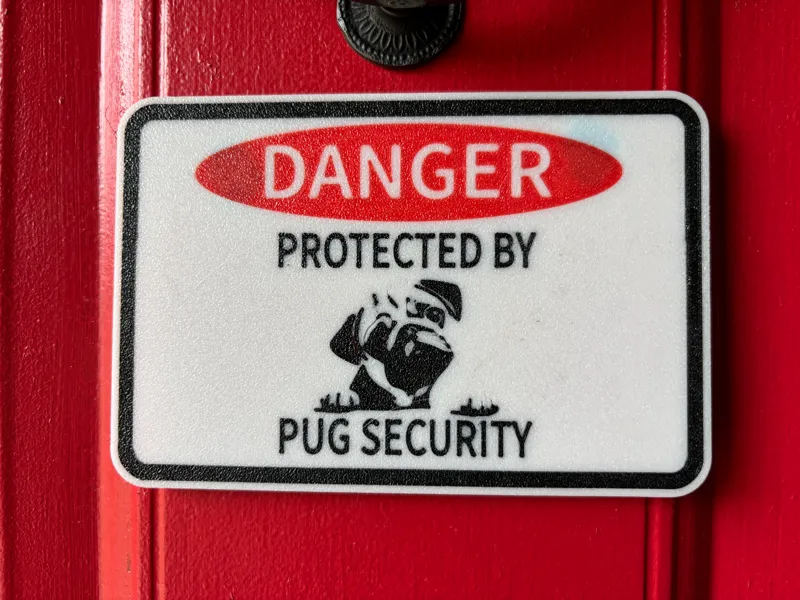 Danger Pug