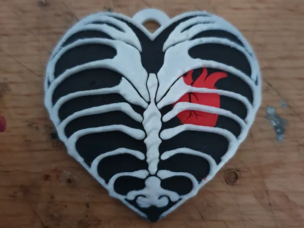 https://makerworld.bblmw.com/makerworld/model/USc0c04060503322/design/2025-02-04_2b95ef223797a.jpg