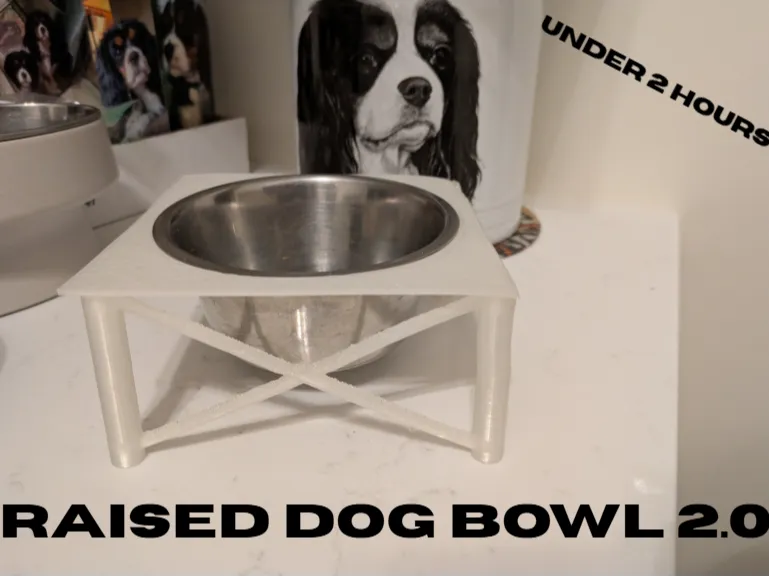 Raised dog bowl 2.0