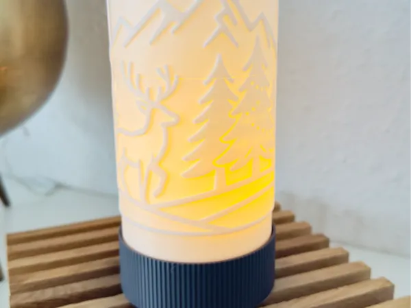 https://makerworld.bblmw.com/makerworld/model/USc0c8cfaaf5455b/design/2025-11-03_bd7e721c1837a8.jpeg