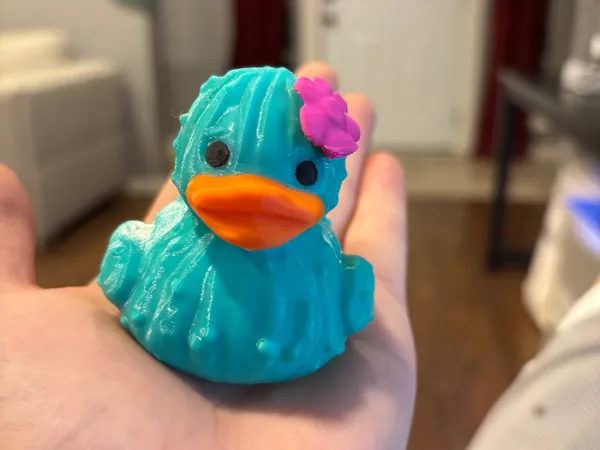 https://makerworld.bblmw.com/makerworld/model/USc0cc4c67bf9695/design/2025-02-09_08e30f9b86dfc.jpg