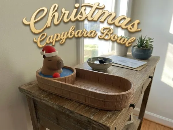 https://makerworld.bblmw.com/makerworld/model/USc0cfdf86110300/design/2025-12-02_52f9db3031165.jpg