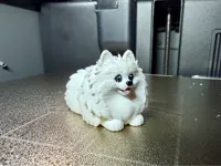 0.16mm layer, 2 walls, 10% infill