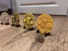 Single color + Coin Stand
