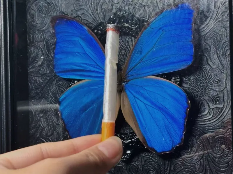 烟型卡祖笛哨子 ADHD焦虑戒烟哄自己开心玩具