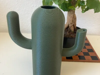 Cactus watering can for house plants