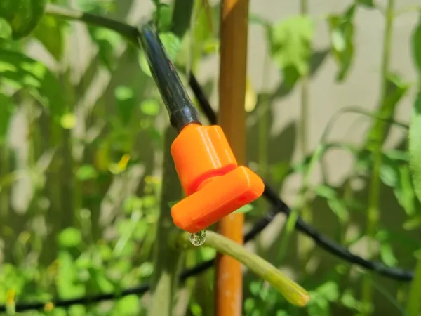 https://makerworld.bblmw.com/makerworld/model/USc0dc68ec628ce/design/2025-06-12_a890aca6258db8.jpg