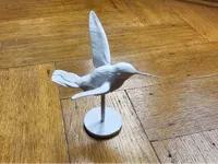 Colibri sur socle — photo 2