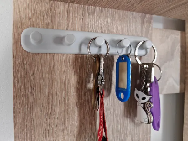 https://makerworld.bblmw.com/makerworld/model/USc0e286a9c92b7b/design/2025-06-03_3a7241ff88b09.jpg