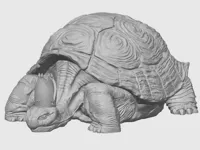 0.16mm layer, 2 walls, 15% infill