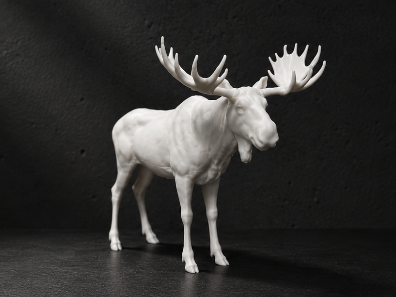 European Elk - Animal 