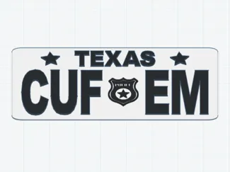 License Plate_Texas