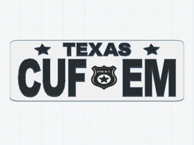 License Plate_Texas